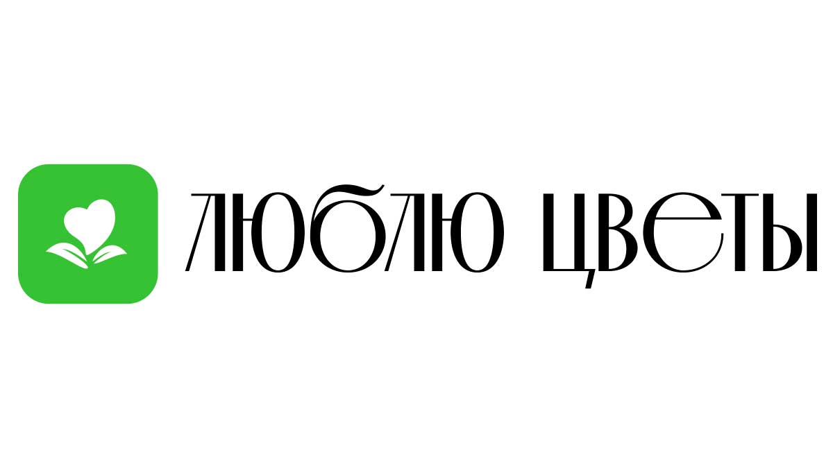 Доставка цветов - Темиртау | Купить цветы и букеты - Недорого -  Круглосуточно | Заказ на дом от интернет-магазина «Люблю цветы»